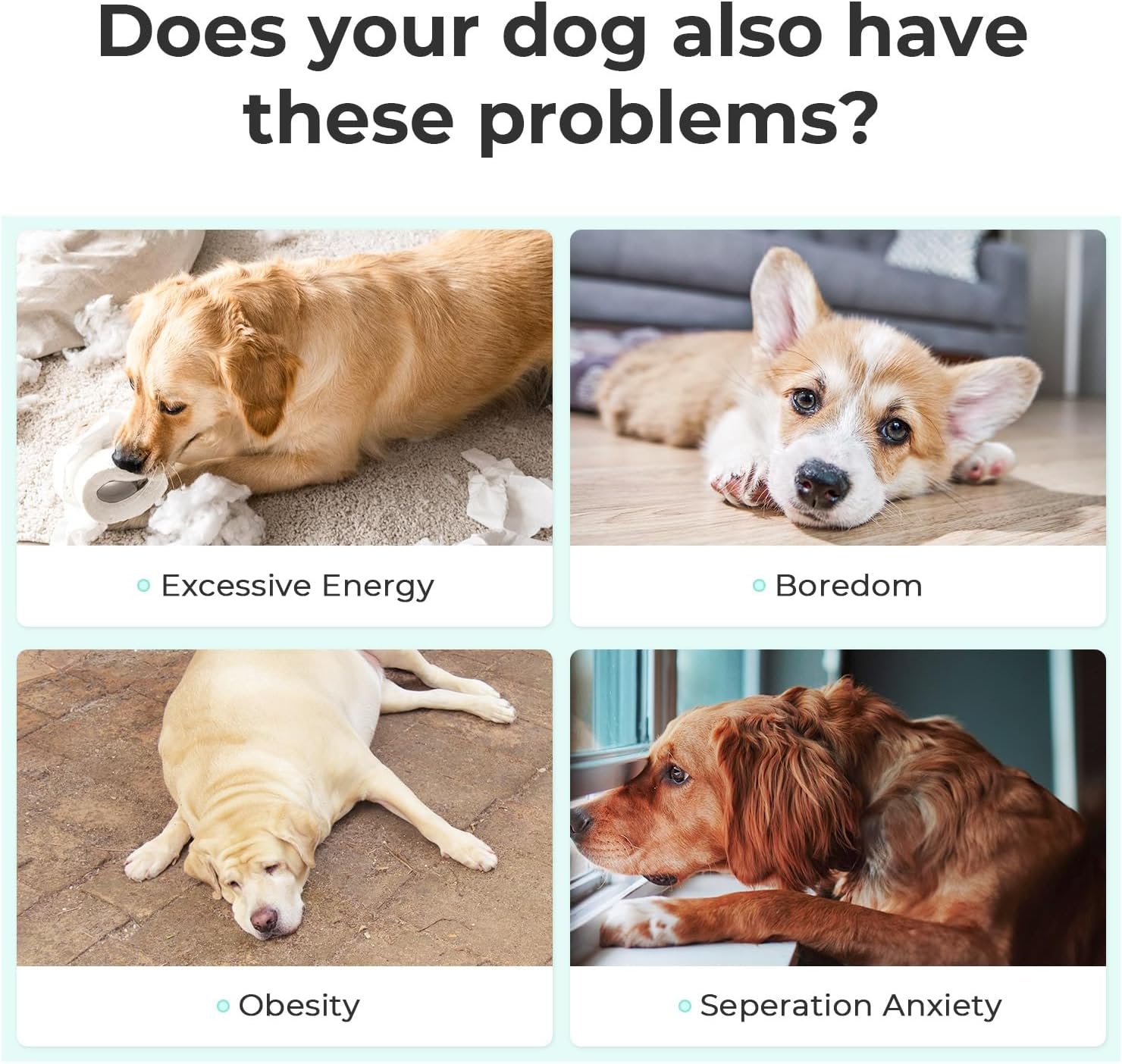 Detalle del Hoochii Wicked Ball en uso